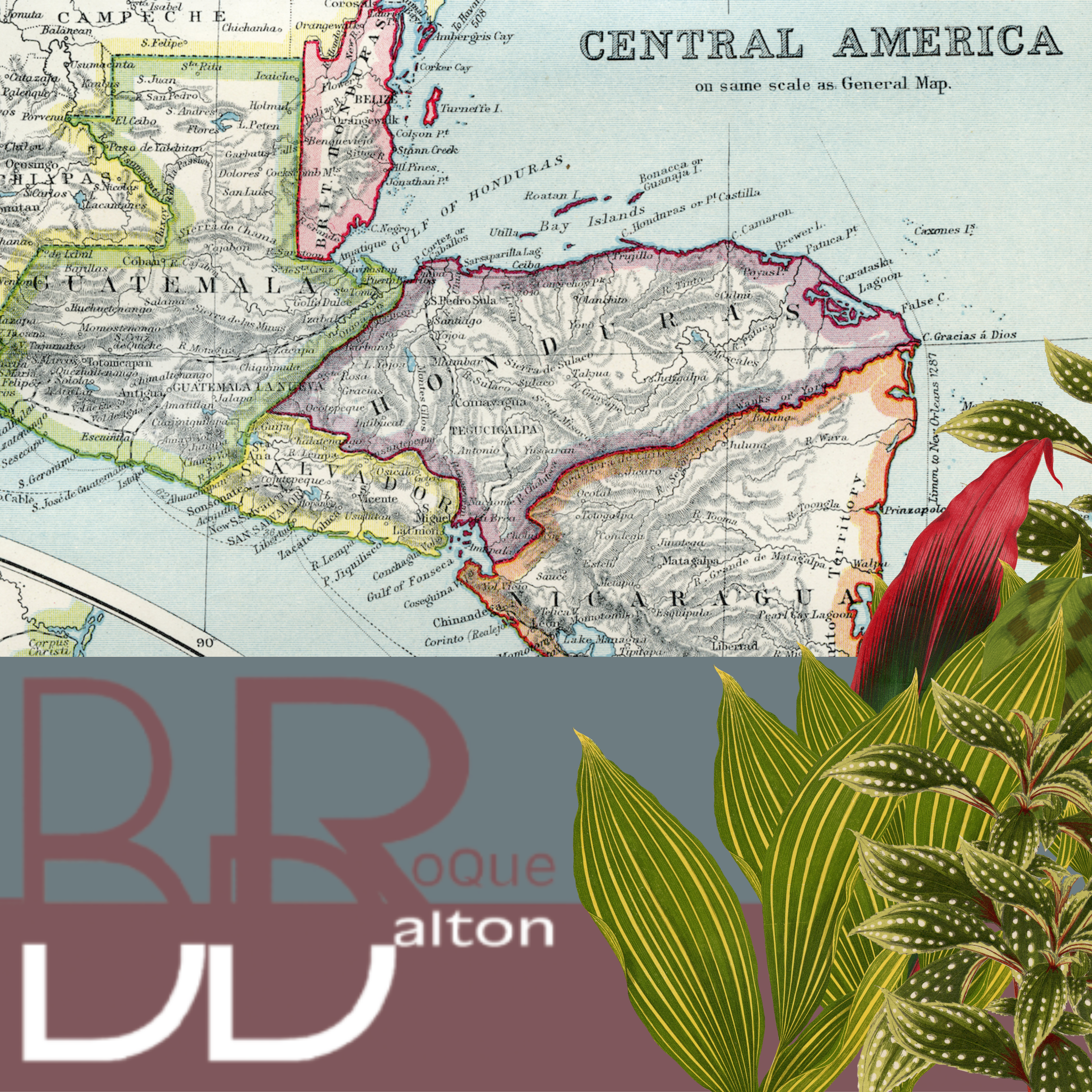 Biblioteca Roque Dalton