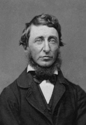 Thoreau, Henry David