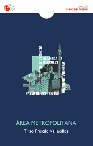 Area metropolitana